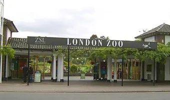 London Zoo